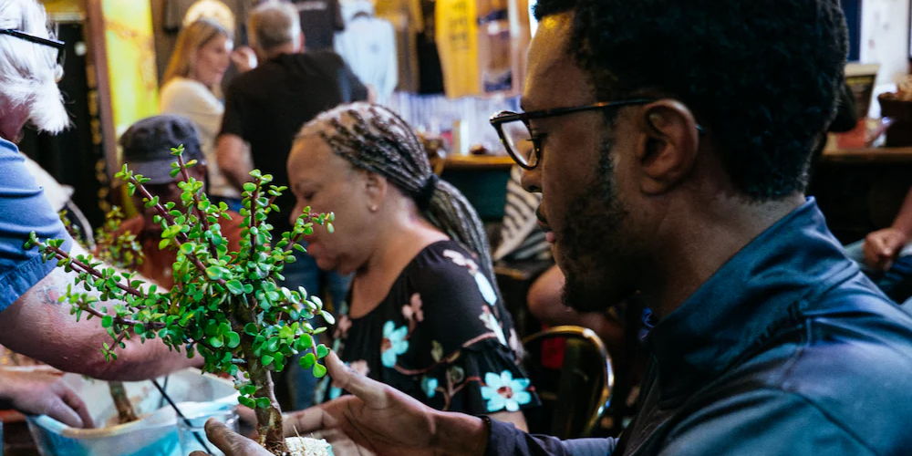 Bonsai Workshop 1